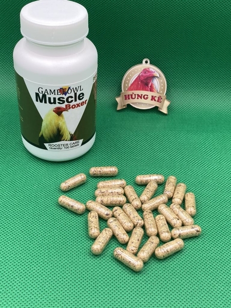 muscle-boxer-le