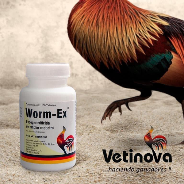 worm-ex