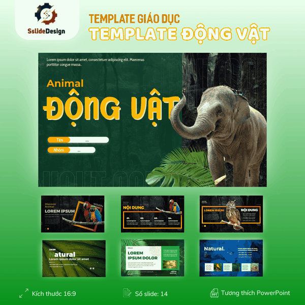 GD19 - Thế giới Động vật