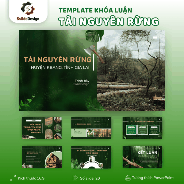 TN08 - Khoá luận về bảo vệ Rừng