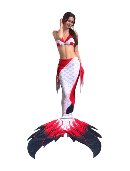Đuôi Nàng Tiên Cá Chép Koi