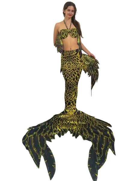 Đuôi Nàng Tiên Cá Rồng