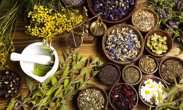 Bài thuốc dân gian chữa đau dạ dày 