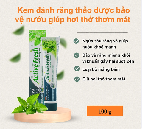 COMBO 3 KEM ĐÁNH RĂNG HIMALAYA ACTIVE FRESH HERBAL TOOTHPASTE BẢO VỆ NƯỚU GIÚP HƠI THỞ THƠM MÁT (3 TUÝP)