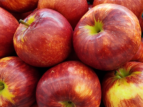 Táo Envy size 32 Mỹ/ New Zealand (kg)