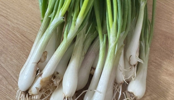 Hành hoa hữu cơ Genki farm