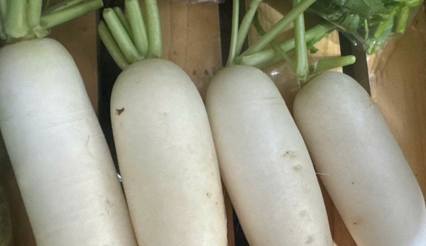 Củ cải Miền 3 xanh