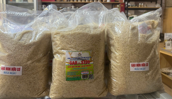 Gạo ST25 hữu cơ xát dối HTX Toàn Thắng