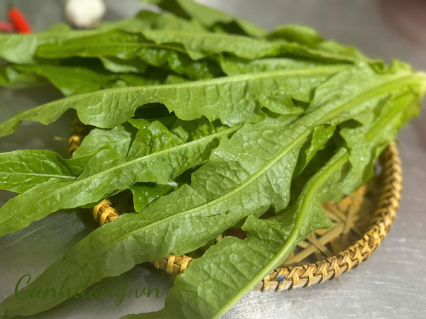 Rau diếp thơm hữu cơ vườn Cây Gạo (túi 400gr)