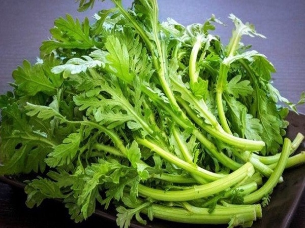 Rau cải cúc Vifotec