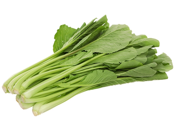 Rau cải ngọt vifotec