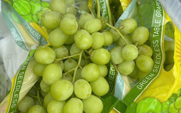 Nho xanh không hạt Sweet Globe Roxie (kg)