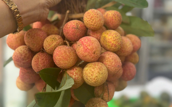 Vải thiều Bắc Giang (Kg)