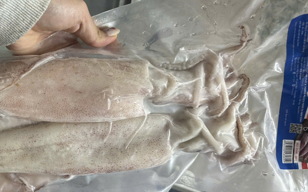 Mực ống nguyên con (size 25 up) HTK