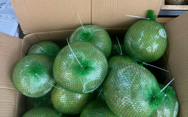 Bưởi da xanh Hương Bình Dương