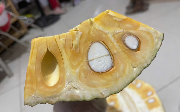 Mít Thái chín cây