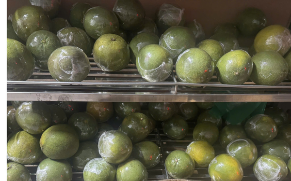 Bưởi Tam Tân bi (quả)