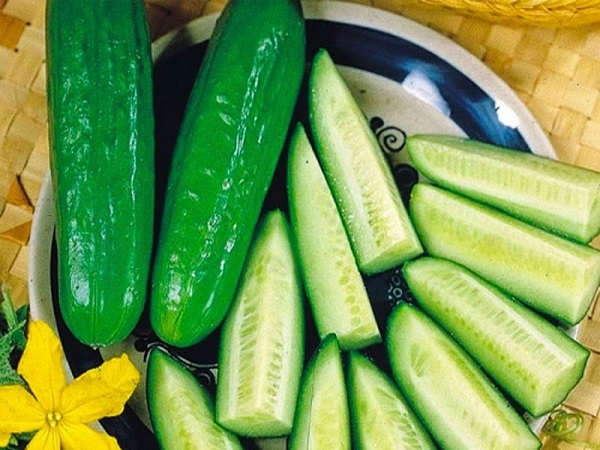 Dưa chuột baby vifotec