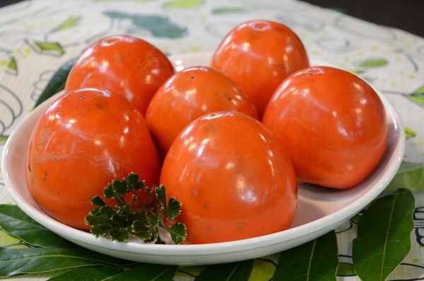 Hồng Vuông Đà Lạt