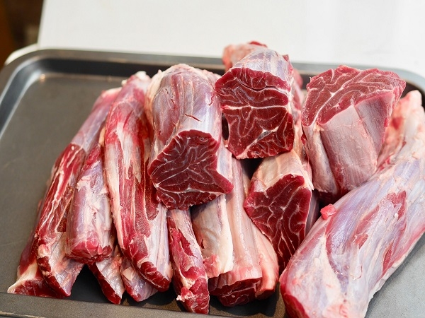 Lõi rùa bò Hòa Bình