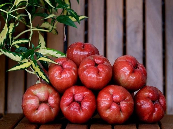 Roi ( Mận đỏ) An Phước