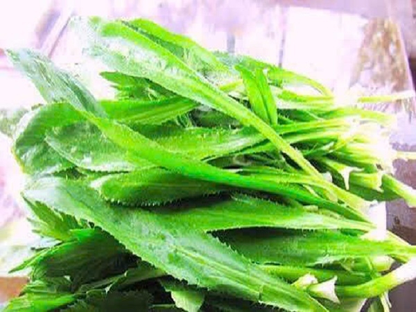 Rau mùi tàu vifotec túi 100g