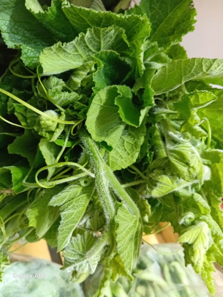 Bí xanh hữu cơ - Genki