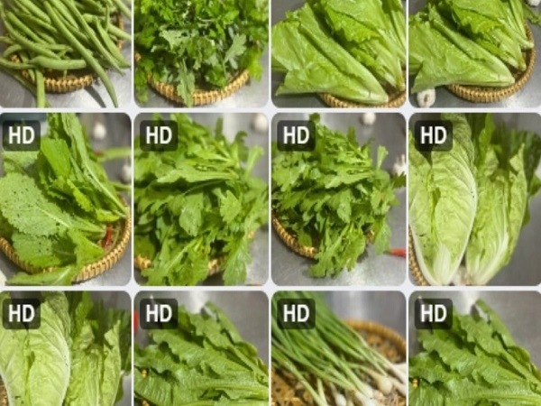 Rau thơm hữu cơ Nhóm Cây Gạo