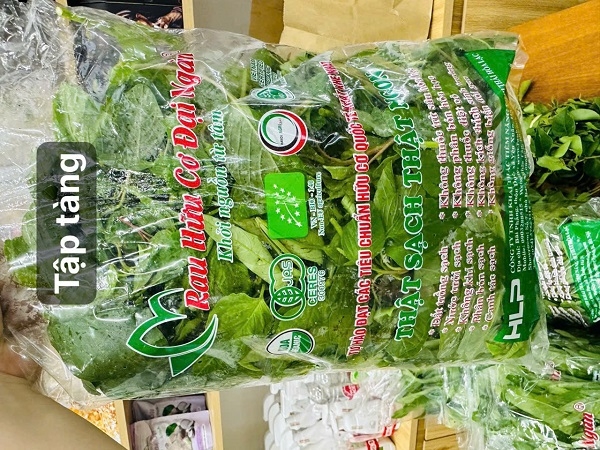 Rau tập tàng hữu cơ Đại Ngàn