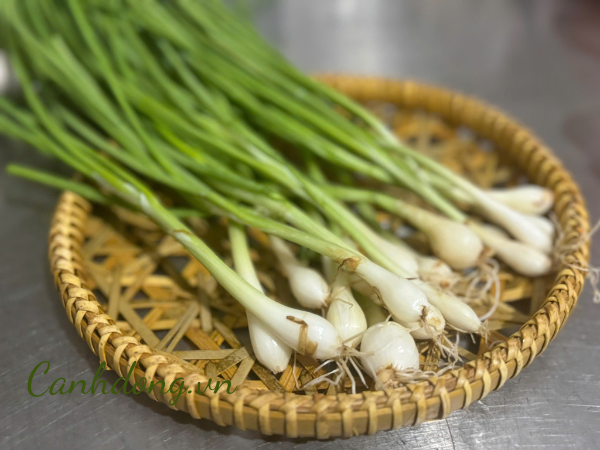 Hành hoa hữu cơ vườn Cây Gạo (bó 100gr)