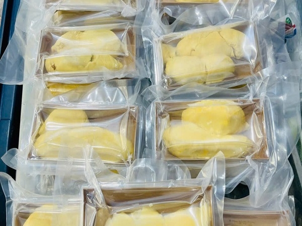 Sầu riêng ri6 cấp đông