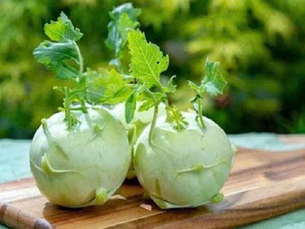 Su hào hữu cơ Genki