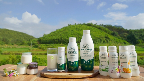 Sữa tươi hữu cơ thanh trùng Mục Đồng 180ml