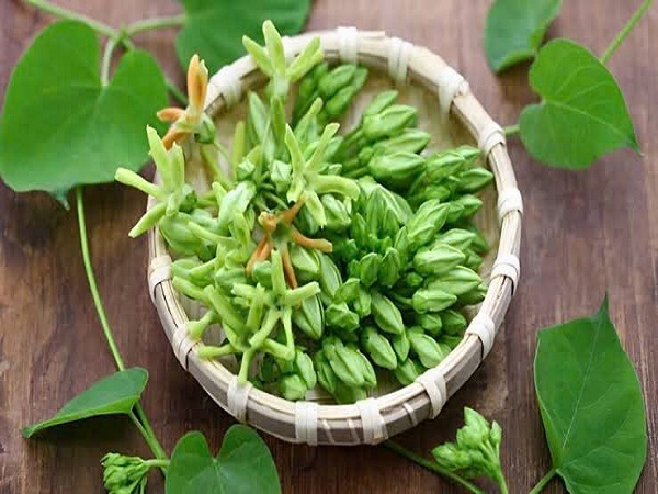 Hoa thiên lý Vifotec (hộp 200g)