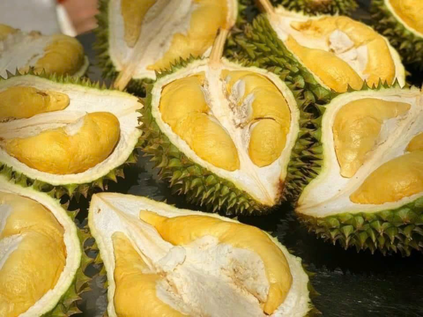 Cơm sầu riêng Ri6 Bến Tre