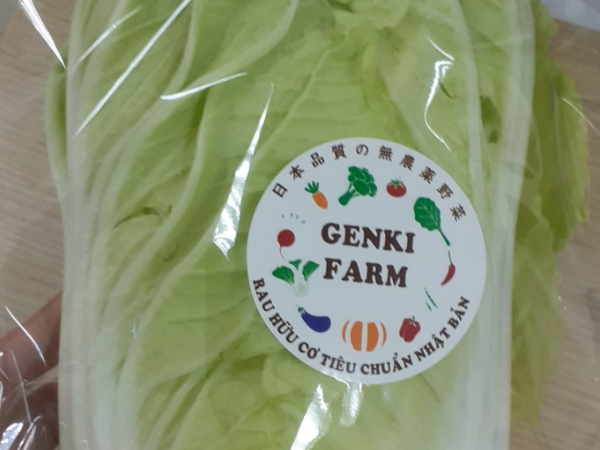 Cải thảo hữu cơ Genki farm