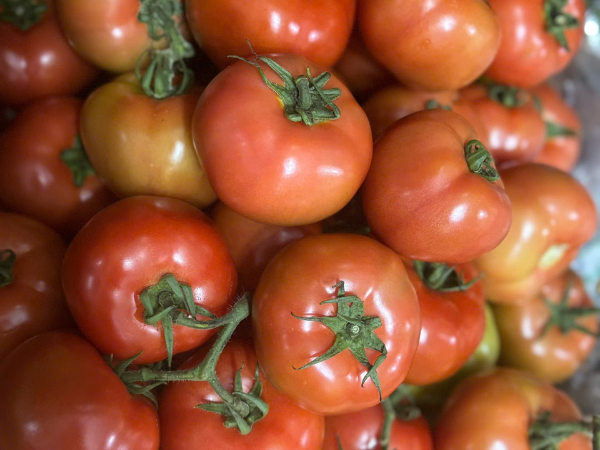 Cà chua beef Đà Lạt Dũng Hòa (kg)