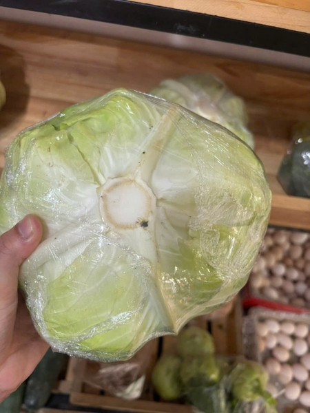 Bắp cải Miền Ba Xanh