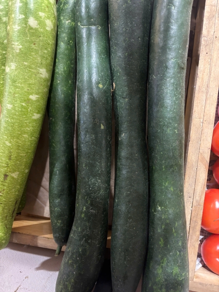 Bí xanh miền 3 xanh