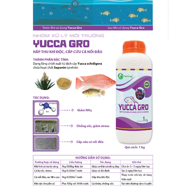 YUCCA GRO - Hấp thụ khí độc, cấp cứu cá nổi đầu