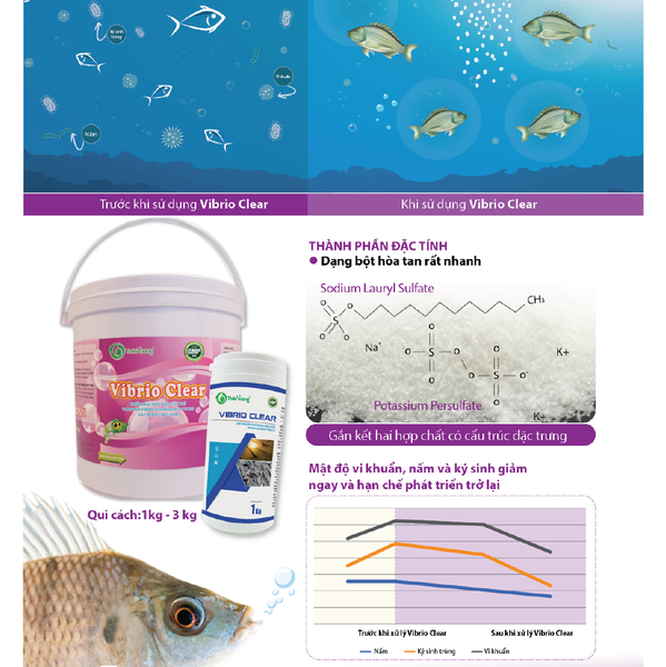 VIBRIO CLEAR - Chuyên trị xây xát, lở loét, vi khuẩn G- và G+