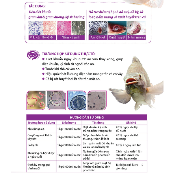VIBRIO CLEAR - Chuyên trị xây xát, lở loét, vi khuẩn G- và G+