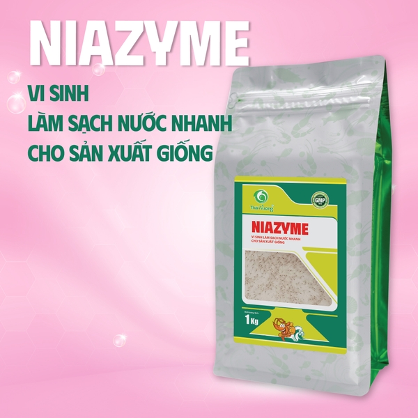 NIAZYME - Vi sinh làm sạch nước nhanh cho sản xuất giống tôm