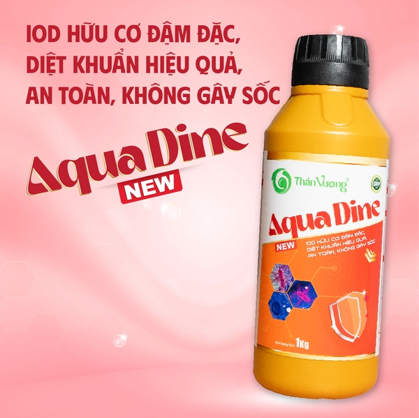 AQUA DINE New - Diệt vi khuẩn gây bệnh