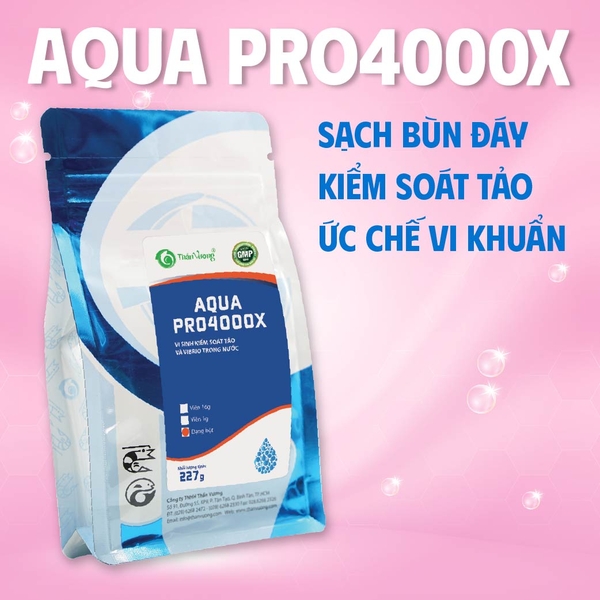 AQUA PRO4000X - Vi sinh kiểm soát tảo và Vibrio trong nước