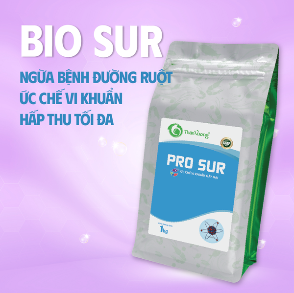 BIO SUR - Ức chế nhanh vi khuẩn gây hại trong đường tiêu hóa