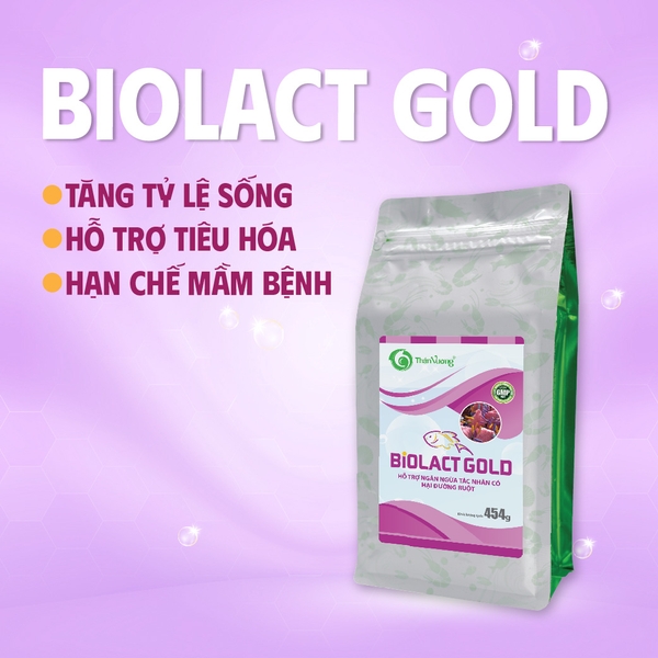 BIOLACT GOLD - Hỗ trợ ngăn ngừa tác nhân có hại đường ruột