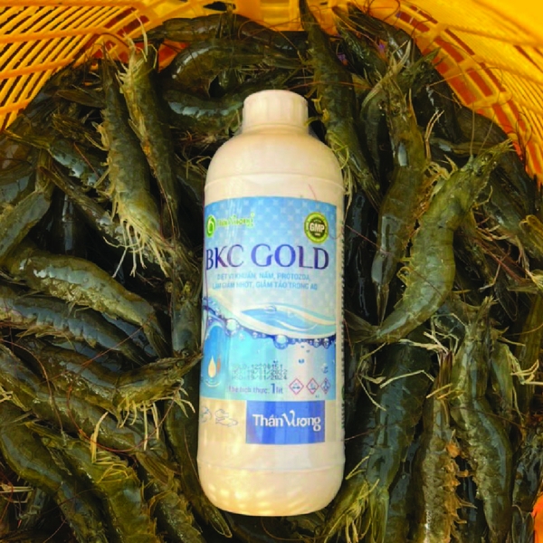 BKC GOLD - Sát trùng nước đậm đặc