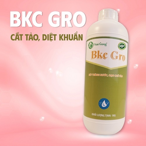 BKC GRO - Sát trùng nguồn nước