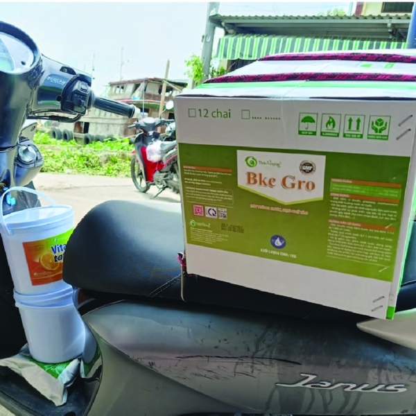 BKC GRO - Sát trùng nguồn nước